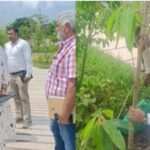 सीएम धामी के विजन को धरातल पर उतार रहा एमडीडीए, सिटी फॉरेस्ट के बाद मियांवाला में एक और पर्यावरणीय तोहफा